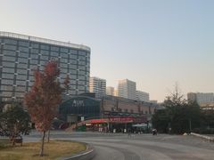 -新天地活力PARK