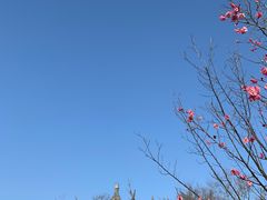 -广富林郊野公园