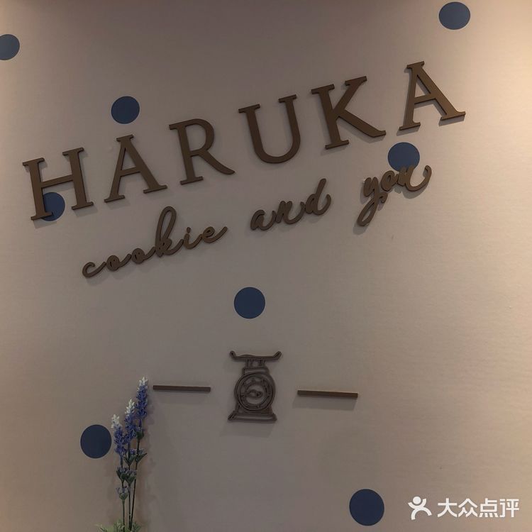 久违的感动在全新的Haruka
