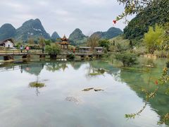 -靖西鹅泉风景区