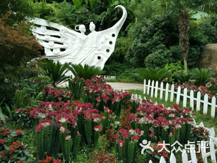 寻梦谷-图片-贵阳美食-大众点评网