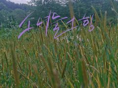 -金孔雀温泉旅游度假村