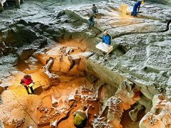 -自贡恐龙博物馆