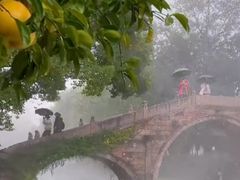 -乌村