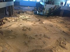 -自贡恐龙博物馆