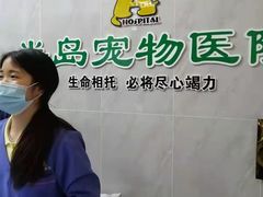 -半岛宠物医院24小时(科华中路店)
