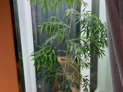 -见康道莱•足浴按摩•艾灸•SPA(友谊店)
