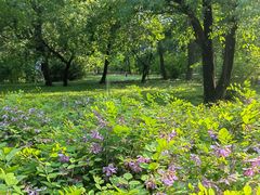 -国家植物园南园