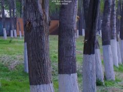 -汉长安城未央宫国家考古遗址公园