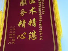 -宠福鑫动物医院(城北分院)