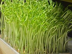 -海底捞火锅(德辉广场店)