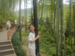 -东明山森林公园