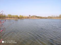 -东郊湿地公园