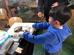 -十八字金·银饰·开蚌DIY·手工体验团建(世纪金源店)