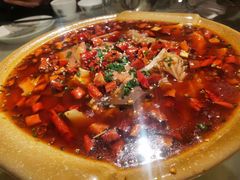 -确喜美味小厨(西单商场兰州店)