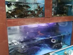 -农乐园食府(梅城镇店)
