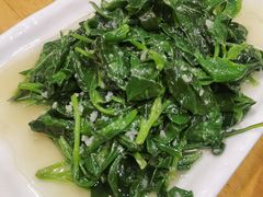 清炒革命菜-南海渔家•海鲜•正宗海南菜(海棠湾店)