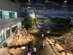 -自贡恐龙博物馆