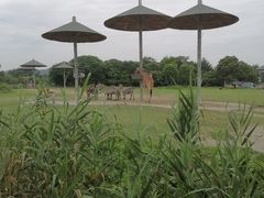 -宁波野生动物园