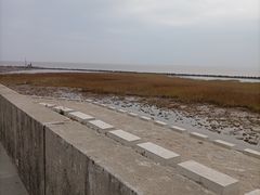 -南汇嘴观海公园