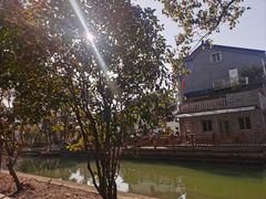 -同里国家湿地公园