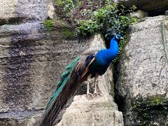 -梦幻奥陶纪景区