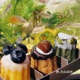 嘉华新品福袋盲盒爱好者怎么能错过