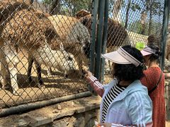 -大连森林动物园