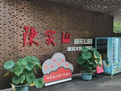-陈家山荷花公园