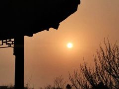 -八大山人梅湖景区