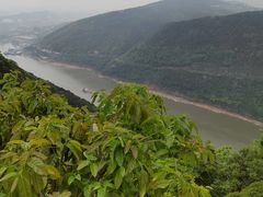 -铁山坪森林公园