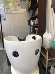 -零下一度造型