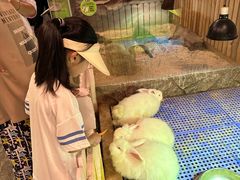 -太阳岛度假酒店