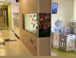 -杭州贝瑞斯美华妇儿医院·早孕·产检·儿科