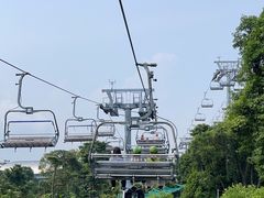 -圣淘沙天际线斜坡滑车