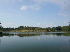 -东莞植物园