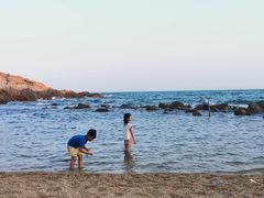 -广东惠东海龟国家级自然保护区