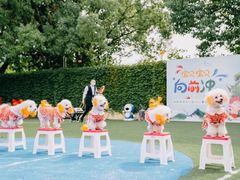 -胡姬港湾幼儿园(龙华丰谷园)