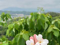 -福道