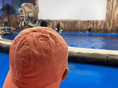 -华夏文旅海洋公园