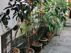 -龙姐私房菜(和顺古镇店)