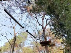 -芦仙山景区-飞越丛林探险乐园