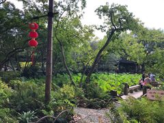 -上海醉白池公园