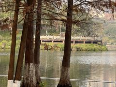 -重庆彩云湖湿地公园