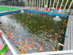 -长洲岛都市农业公园