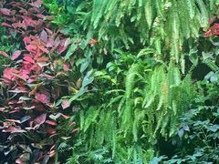 -泽云梵莲花足浴 按摩 SPA(滨湖店)
