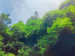 -海口火山口国家地质公园