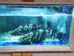 -顺峰(农展馆店)