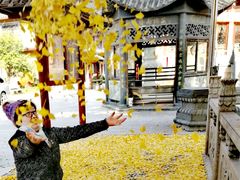 -上海青龙寺