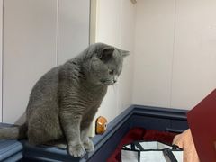 -吱咖啡西式简餐